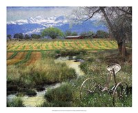 Idyllic Farm I Framed Print