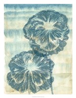 Playful Papavers I Fine Art Print