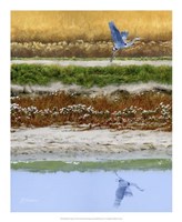 Blackwater Tapestry II Fine Art Print