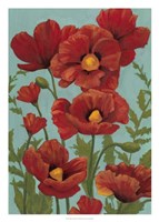 Poppy Promenade I Fine Art Print