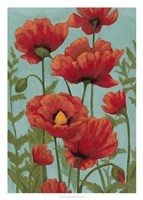 Poppy Promenade II Fine Art Print