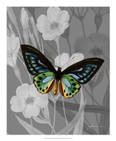 On Display I Fine Art Print