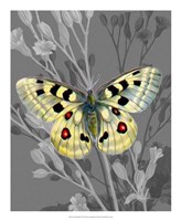 On Display II Fine Art Print