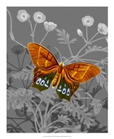 On Display III Fine Art Print