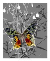 On Display IV Fine Art Print