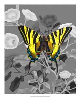 On Display V Fine Art Print