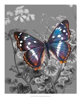 On Display VI Fine Art Print