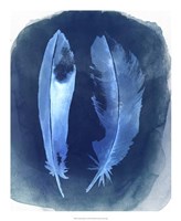 Feather Negatives I Fine Art Print