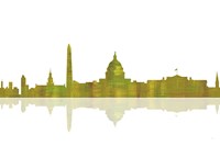 Washington DC Skyline 1 Fine Art Print
