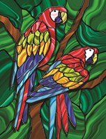 Parrot B Fine Art Print