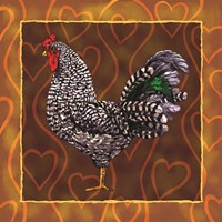 Rooster 3 by Jeff Maraska - various sizes