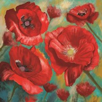 Red Poppies Bloom of Joy Fine Art Print