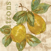 Rustic Fruit III Fine Art Print