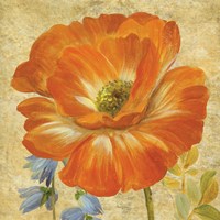 Primavera II Fine Art Print