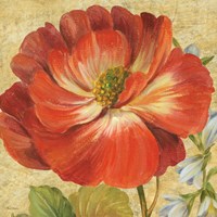 Primavera IV Fine Art Print