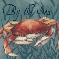 Nautical Critters III Framed Print