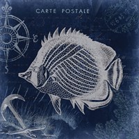 Seaside Postcard Navy IV Framed Print