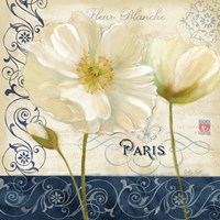 Paris Poppies Blue Trim I Fine Art Print