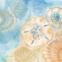 Watercolor Shells III Framed Print