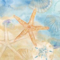 Watercolor Shells IV Framed Print