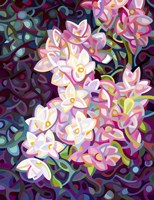 Cascade Fine Art Print