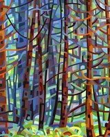 In A Pine Forest Fine Art Print