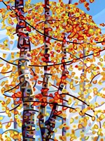 Panoply Fine Art Print