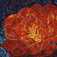 Ribbons And Pearls Fine Art Print