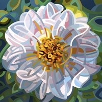 Solitaire Fine Art Print