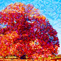 Buddha Tree Fine Art Print