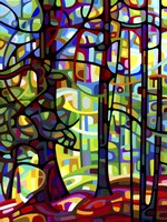 After the Rain Fine Art Print