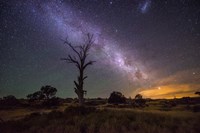 Night Sky 1 by Lincoln Harrison - various sizes