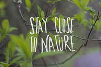 Nature Fine Art Print