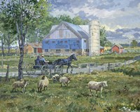 Sheep in a Field Fine Art Print