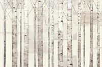 Birch Trees on White Fine Art Print