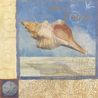 Ocean Beauties III Fine Art Print