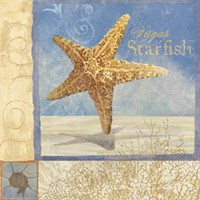 Ocean Beauties IV Fine Art Print