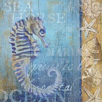 Sea Horse and Sea Fine Art Print