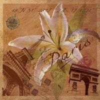 Latitude and Longitude Travel to Paris Fine Art Print