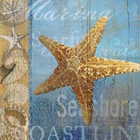 Starfish and sea Fine Art Print
