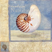 Ocean Beauties V Fine Art Print