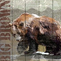 Open Season Bear Fine Art Print