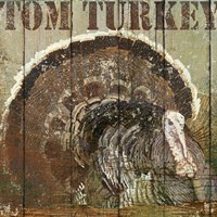 Open Season Turkey Fine Art Print
