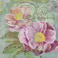 Peony Garden I Fine Art Print