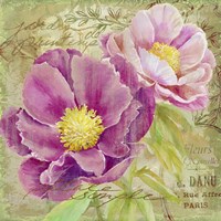 Peony Garden II Fine Art Print