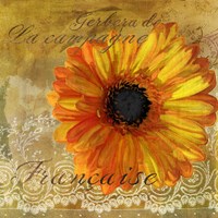 Gerbera Francaise Fine Art Print