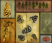Pines and Oak I Fine Art Print