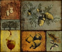 Pines and Oak II Framed Print