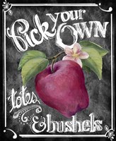 Pick Your Own Framed Print