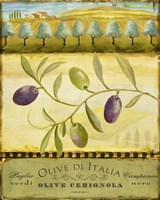 Olive Grove Puglia Fine Art Print